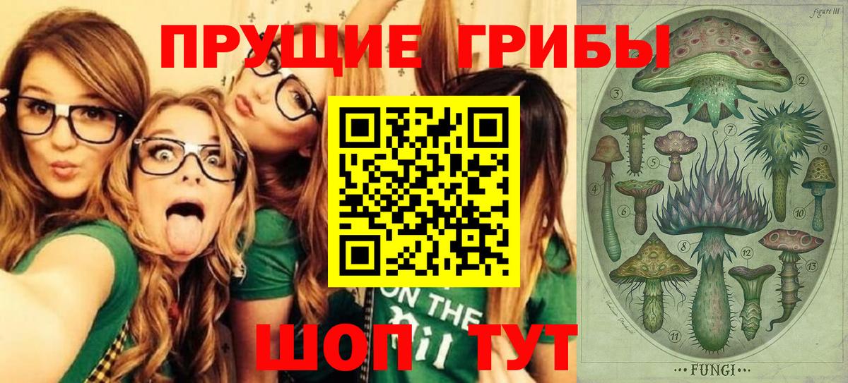 дарнет шоп  Псилоцибиновые грибы GOLDEN TEACHER  Вход с VPN  Ирбит 