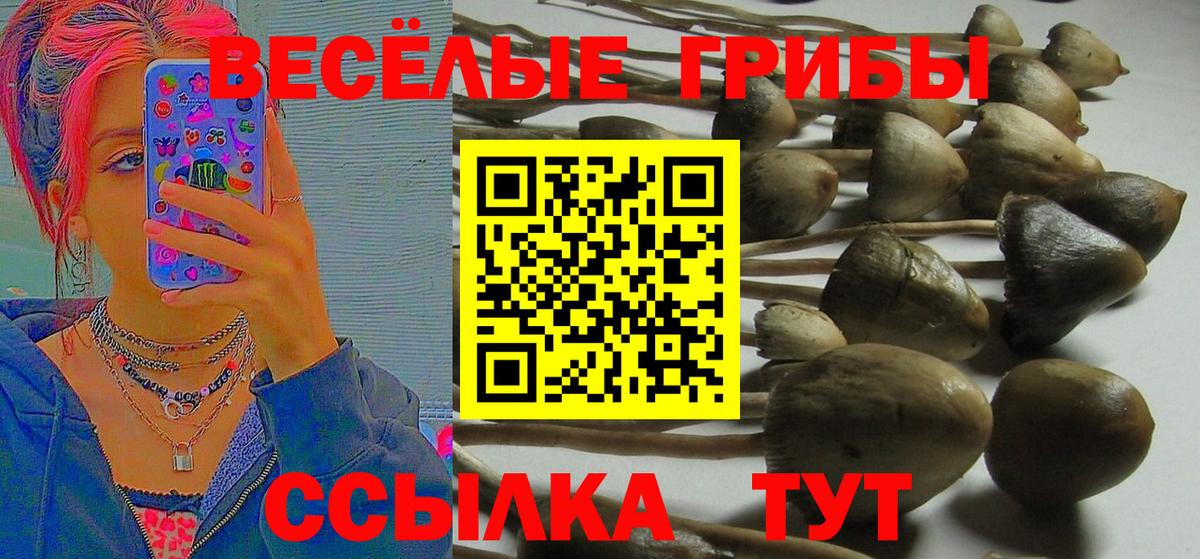 Псилоцибиновые грибы мицелий Ирбит