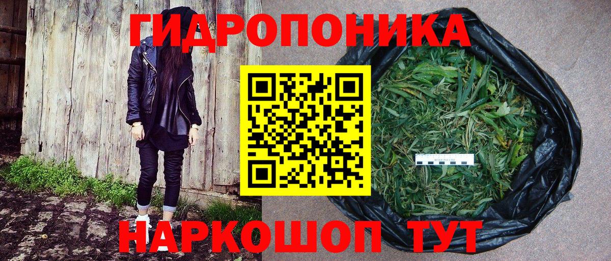 Шишки марихуана план  Вход с VPN  Ирбит  Канабис сатива  Каннабис THC 21% 
